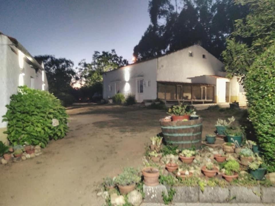 Quinta Da Mesa Villa Macinhata do Vouga Exteriör bild