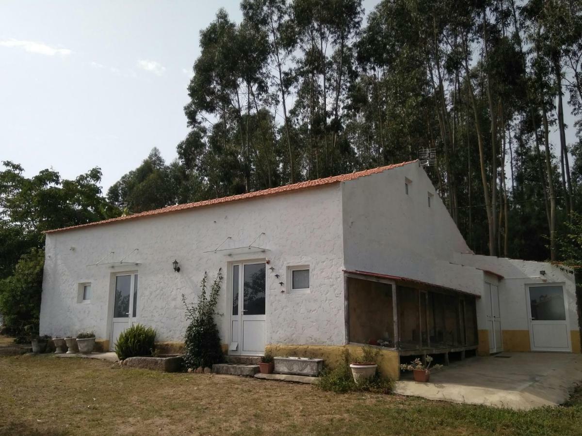 Quinta Da Mesa Villa Macinhata do Vouga Exteriör bild